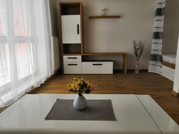Pronájem bytu 1+kk v osobním vlastnictví 45 m², Plzeň