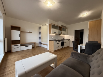 Pronájem bytu 1+kk v osobním vlastnictví 45 m², Plzeň