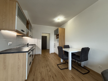 Pronájem bytu 1+kk v osobním vlastnictví 45 m², Plzeň