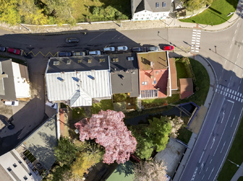 Pronájem bytu 1+1 v osobním vlastnictví 41 m², Opava