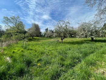 Pronájem pozemku 1501 m², Votice