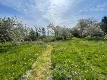 Pronájem pozemku 1501 m², Votice