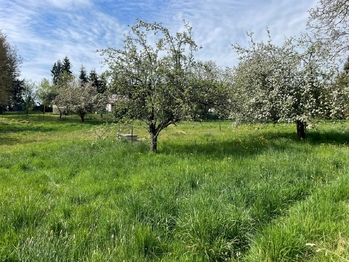Pronájem pozemku 1501 m², Votice
