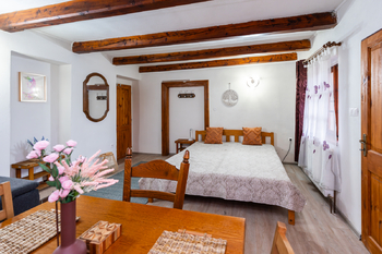 Prodej ubytovacího zařízení 340 m², Sedlec-Prčice