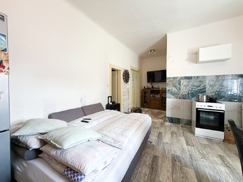 byt č.2 - Prodej domu 414 m², Březnice