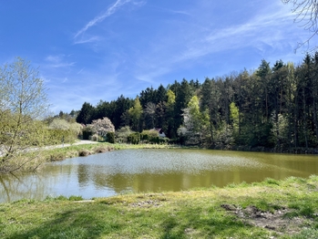 Prodej chaty / chalupy 65 m², Psáry