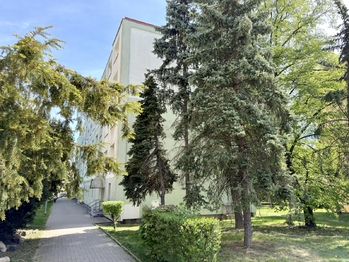 Prodej bytu 1+1 v osobním vlastnictví 34 m², Chomutov