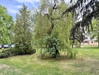 Prodej bytu 1+1 v osobním vlastnictví 34 m², Chomutov