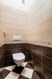 Prodej bytu 1+kk v osobním vlastnictví 52 m², Nupaky