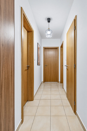 Prodej bytu 3+kk v osobním vlastnictví 8664 m², Praha 9 - Hloubětín