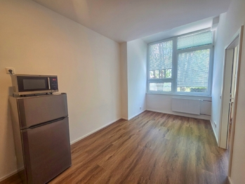 obývací pokoj - Pronájem bytu 2+kk v osobním vlastnictví 33 m², České Budějovice