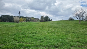 Pozemek 3.089 m2, zastavitelní část cca 1.260 m2 - Prodej pozemku 2322 m², Nespeky