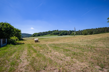 Pozemek 3.089 m2 - Prodej pozemku 3089 m², Nespeky