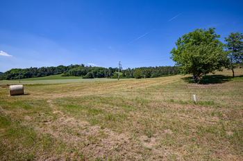 Pozemek 3.089 m2 - Prodej pozemku 3089 m², Nespeky