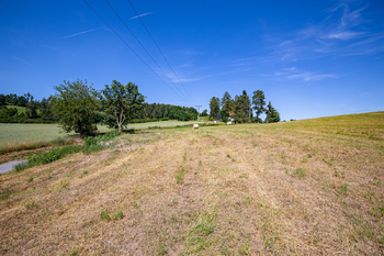 Pozemek 3.089 m2 - Prodej pozemku 3089 m², Nespeky