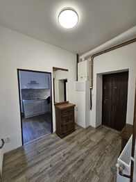 Pronájem bytu 1+1 v osobním vlastnictví 39 m², Český Těšín