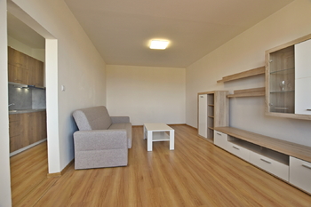 Pronájem bytu 1+1 v osobním vlastnictví 43 m², Zliv
