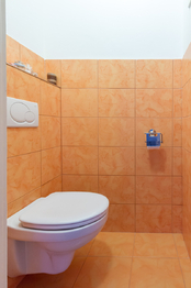záchod - Pronájem bytu 1+1 v osobním vlastnictví 47 m², Praha 6 - Dejvice