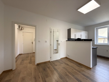 Prodej bytu 2+1 v osobním vlastnictví 53 m², Plzeň