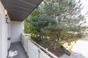 Prodej domu 227 m², Okrouhlá