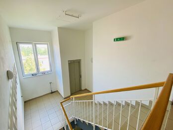 Pronájem bytu 2+kk v osobním vlastnictví 54 m², Brno