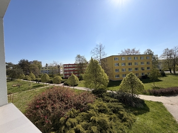 Prodej bytu 3+1 v družstevním vlastnictví 77 m², Hlučín