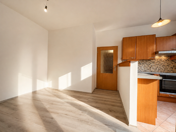 Obývací pokoj s kuchyňským koutem - Pronájem bytu 2+kk v osobním vlastnictví 41 m², Praha 3 - Vinohrady 