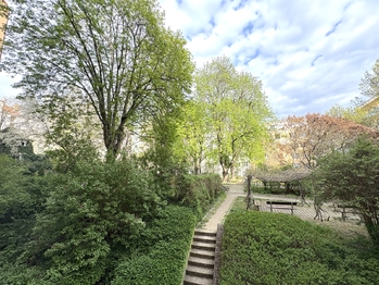 Výhled z oken - Pronájem bytu 2+kk v osobním vlastnictví 41 m², Praha 3 - Vinohrady