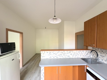 Pronájem bytu 2+kk v osobním vlastnictví 41 m², Praha 3 - Vinohrady