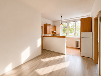 Pronájem bytu 2+kk v osobním vlastnictví 41 m², Praha 3 - Vinohrady