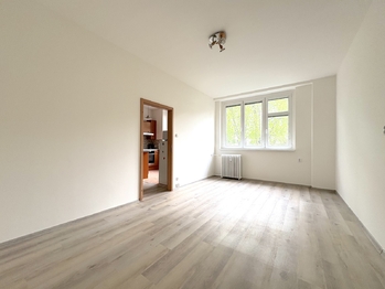 2. pokoj - Pronájem bytu 2+kk v osobním vlastnictví 41 m², Praha 3 - Vinohrady