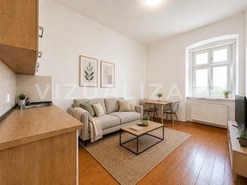 Pronájem bytu 1+kk v osobním vlastnictví 21 m², Plzeň