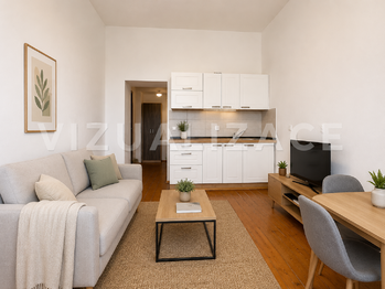 Pronájem bytu 1+kk v osobním vlastnictví 21 m², Plzeň