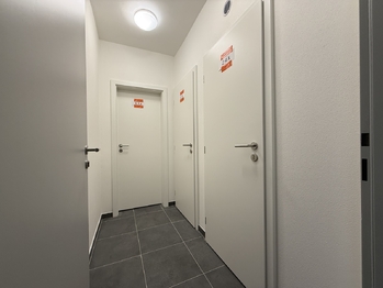 Pronájem bytu 2+kk v osobním vlastnictví 52 m², Dobřany