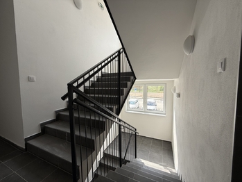 Pronájem bytu 1+kk v osobním vlastnictví 38 m², Dobřany