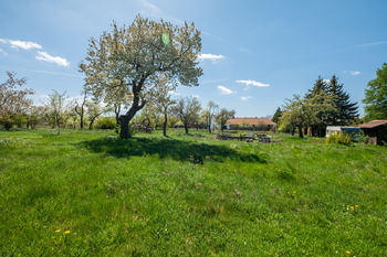 Prodej apartmánu, Lesná