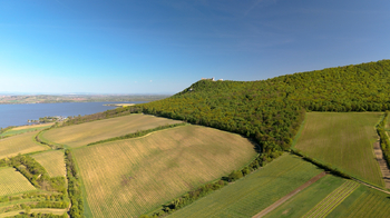 Prodej pozemku 1501 m², Dolní Věstonice