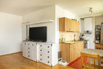 Prodej bytu 2+kk v družstevním vlastnictví 53 m², Příbor