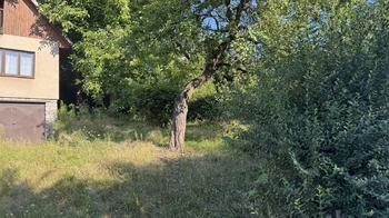 zahrada - Prodej chaty / chalupy 98 m², Týnec nad Labem