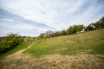 Prodej pozemku 19790 m², Holedeč