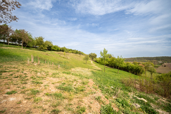 Prodej pozemku 19790 m², Holedeč
