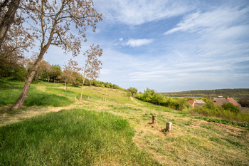 Prodej pozemku 19790 m², Holedeč