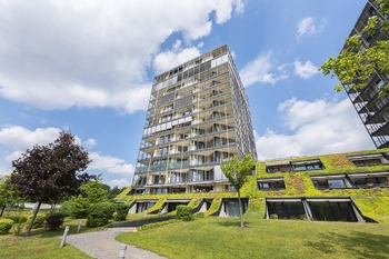 Pronájem bytu 3+kk v osobním vlastnictví 107 m², Praha 3 - Žižkov