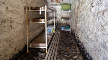 Prodej domu 264 m², Volfartice