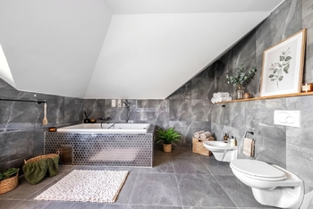 Prodej domu 250 m², Buš