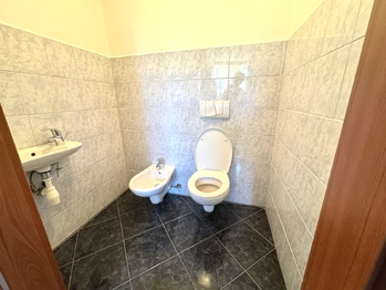 Pronájem domu 300 m², Vysoká u Příbramě