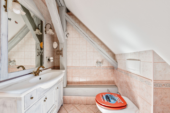Prodej domu 372 m², Buzice