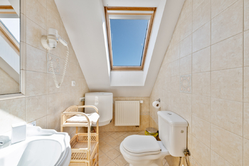 Prodej ubytovacího zařízení 398 m², Buzice