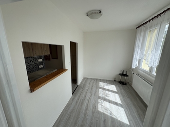 obývací pokoj - Pronájem bytu 2+kk v osobním vlastnictví 35 m², Kaznějov