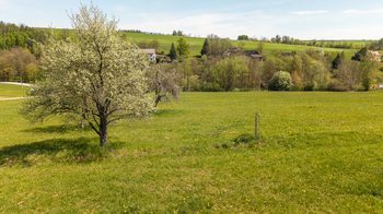 Prodej pozemku 10364 m², Horní Kalná